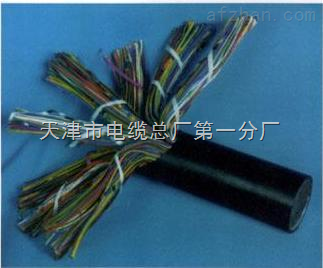 天津市電纜總廠第一分廠 專業打造礦用通信電纜，保障井下配線與用戶線路穩定可靠