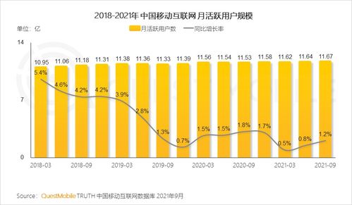 移動(dòng)互聯(lián)網(wǎng)研發(fā)與維護(hù) 中國市場的實(shí)踐啟示